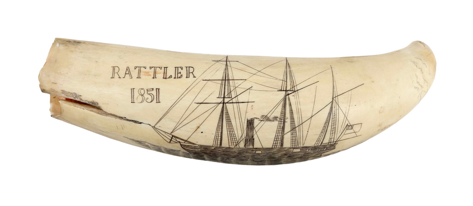 ENGRAVED WHALE'S TOOTH DEPICTING THE STEAM/SAIL VESSEL "RATTLER 1851" Early 20th Century Length (1 of 4)