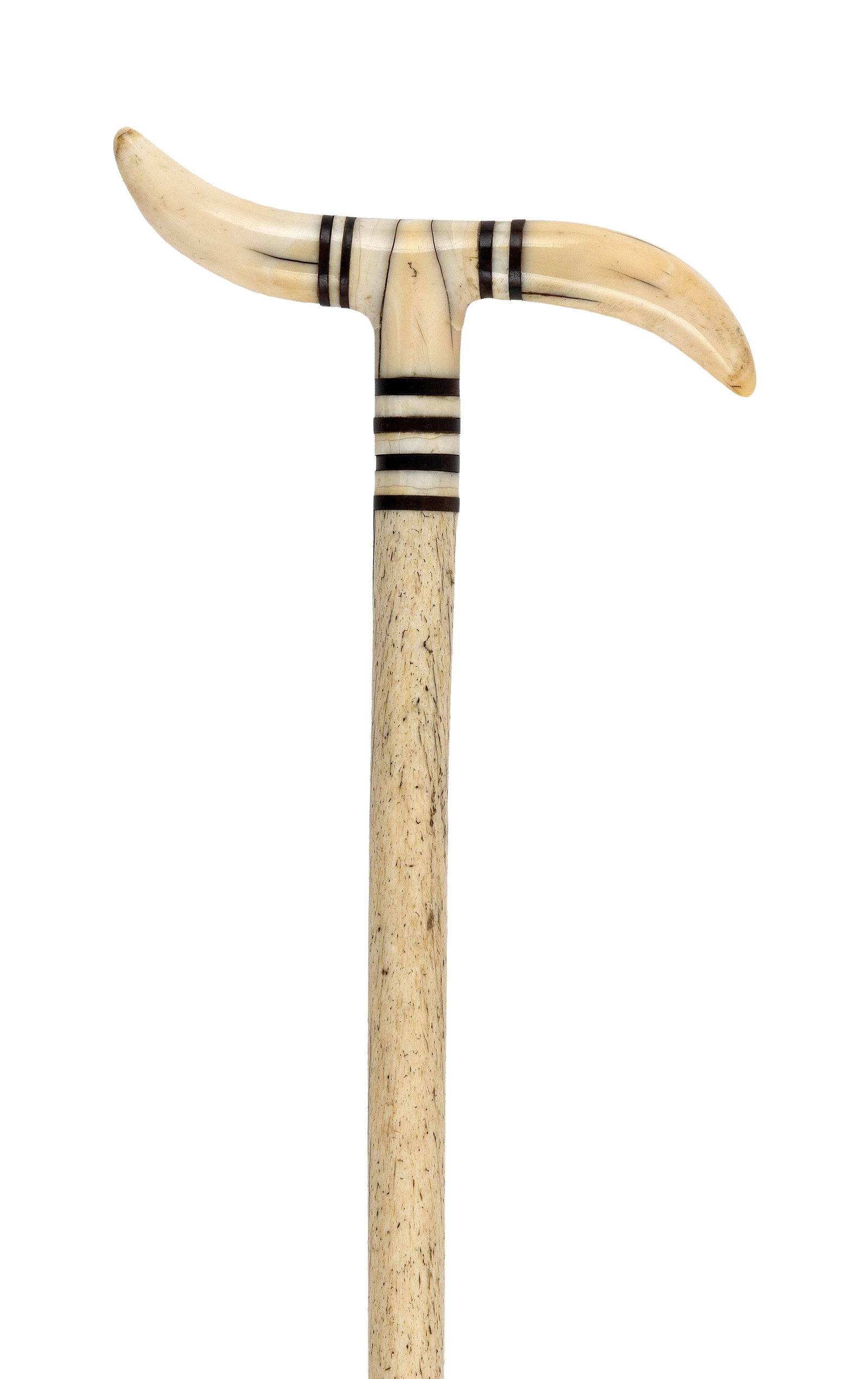 WHALE IVORY AND WHALEBONE CANE 19th Century Length 36". (1 of 2)