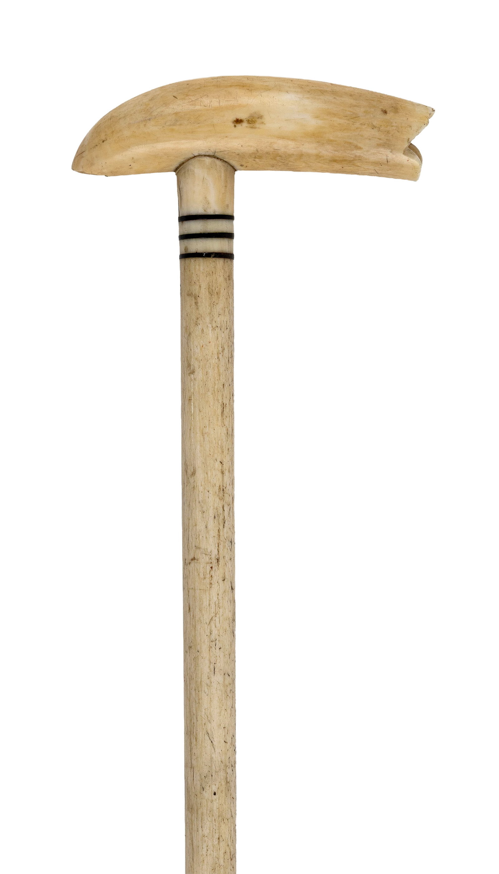 CANE WITH WHALE'S TOOTH HANDLE 19th Century Length 35.5".: CANE WITH WHALE'S TOOTH HANDLE 19th Century Whalebone shaft with three baleen bands near handle and a brass ferrule. Length 35.5".