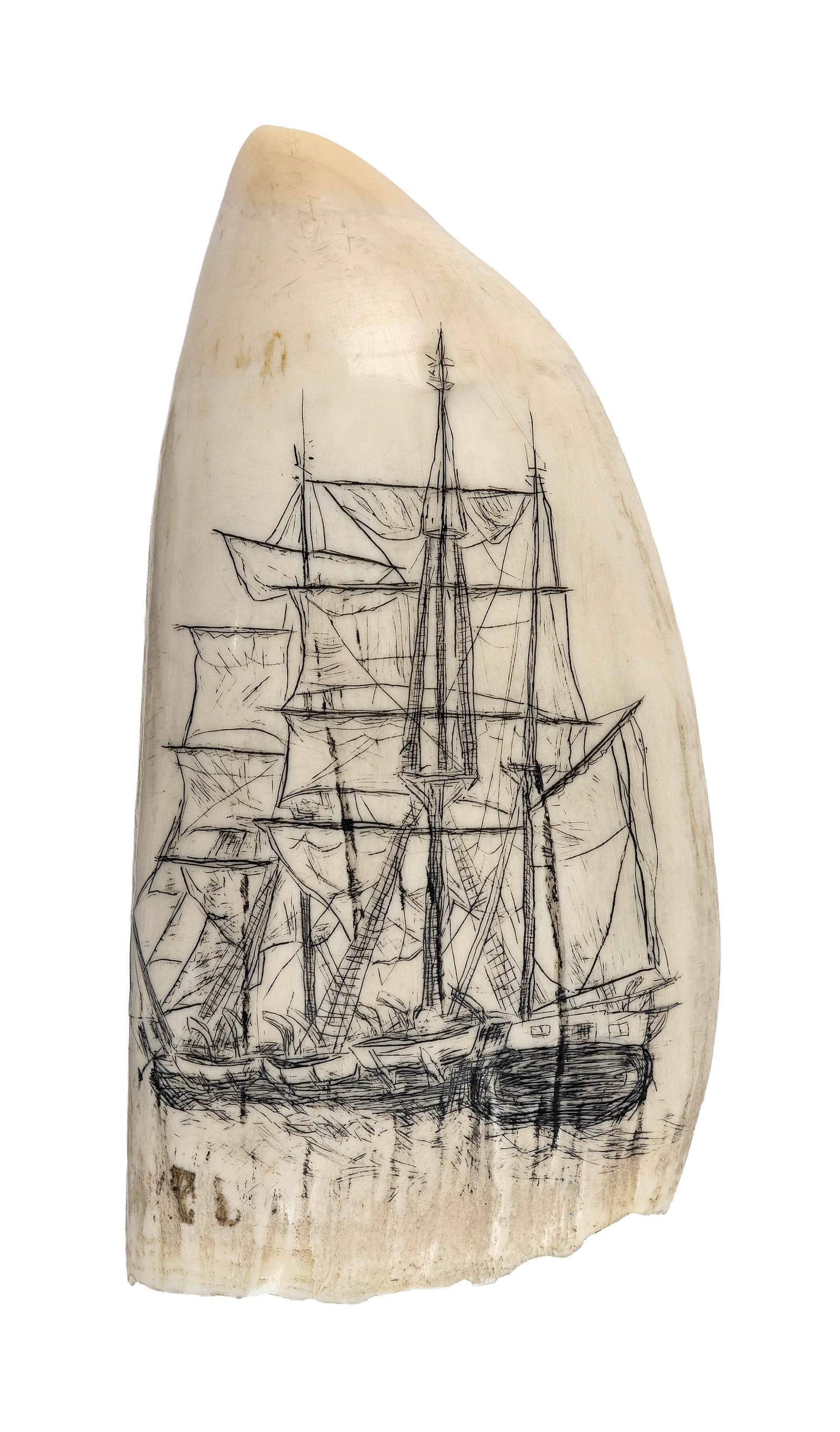 * ENGRAVED WHALE'S TOOTH DEPICTING A WHALESHIP Contemporary Length 5.5". (1 of 2)