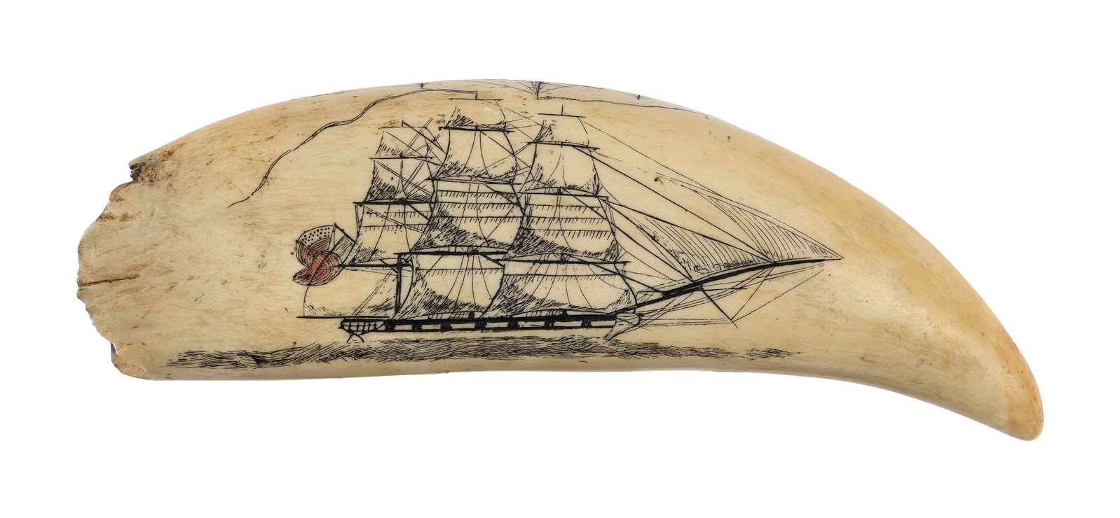 * ENGRAVED WHALE'S TOOTH WITH SHIP PORTRAITS Length 6.25". (1 of 5)