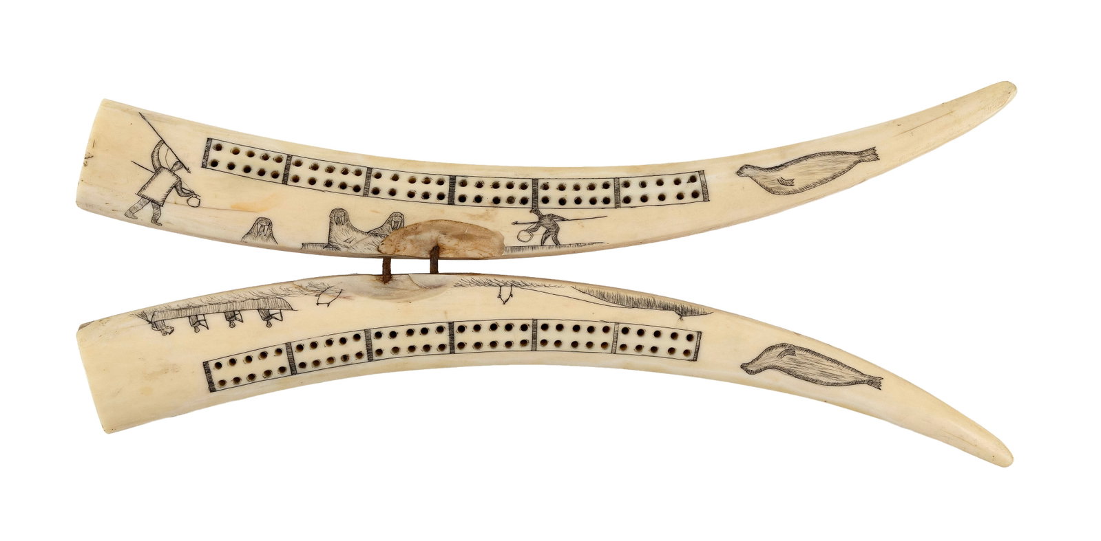 TWO ESKIMO ENGRAVED WALRUS TUSKS 20th Century Lengths 12". (1 of 2)