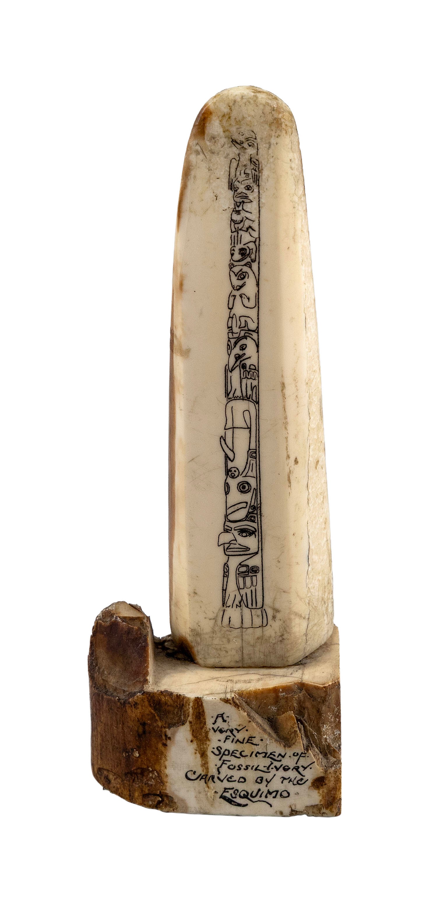 ESKIMO ENGRAVED FOSSILIZED WALRUS TUSK TIP 20th Century Height 6.5". (1 of 5)