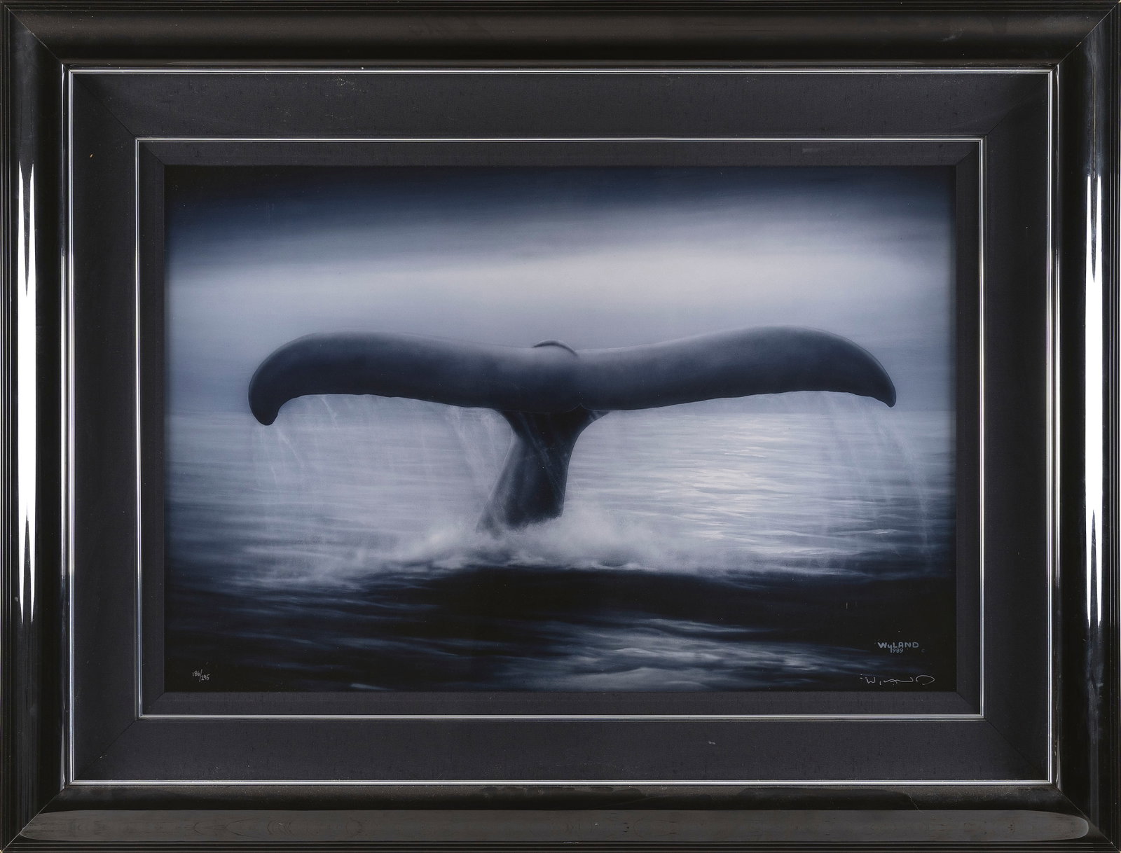 ROBERT WYLAND GICLEE OF A WHALE'S TAIL California/Michigan, 1956- 23.5" x 35.5" sight. Framed 37.25": ROBERT WYLAND GICLEE OF A WHALE'S TAIL California/Michigan, 1956- Signed and numbered 186/295 in silver ink lower edge. 23.5" x 35.5" sight. Framed 37.25" x 49.75".