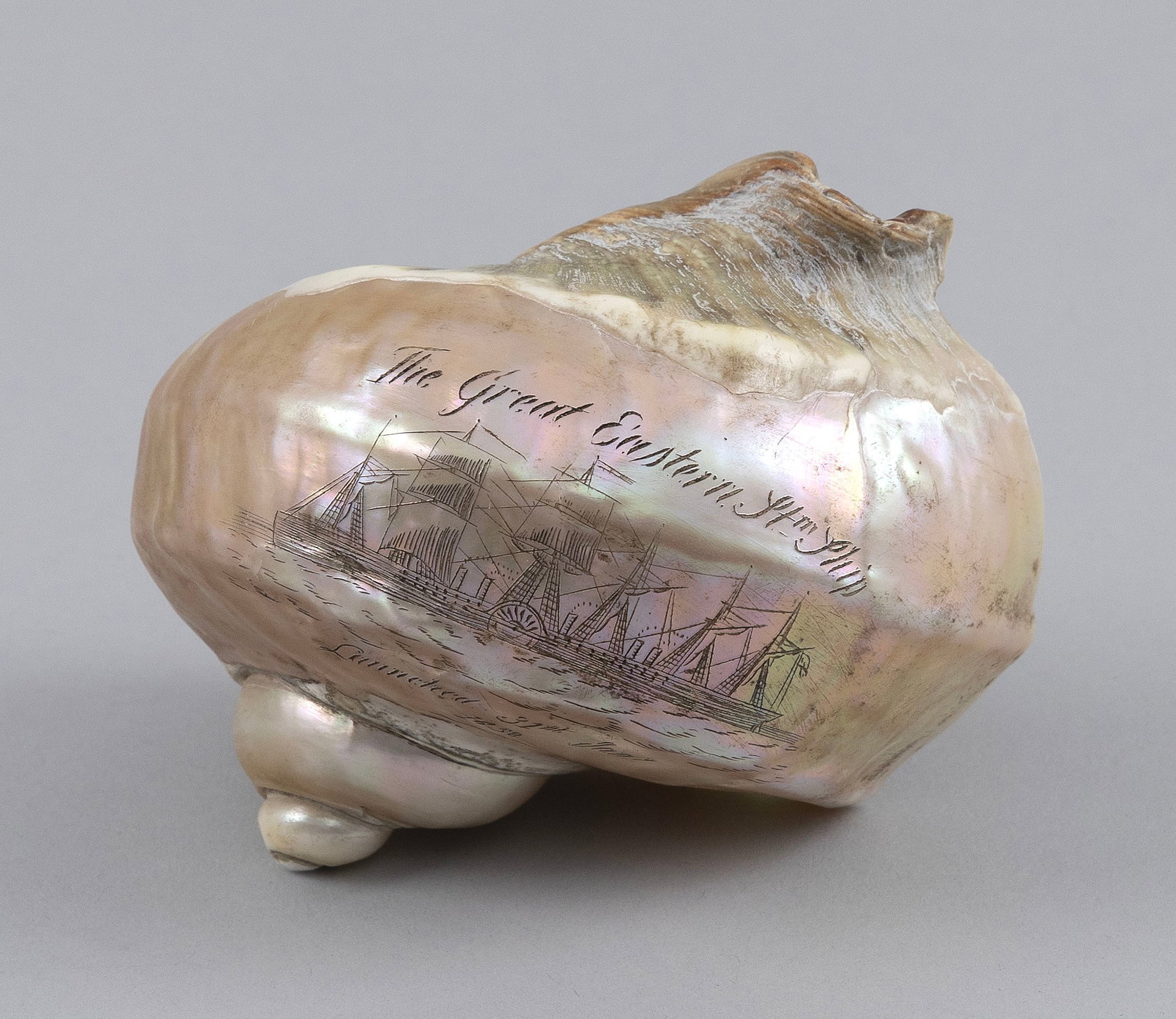 ENGRAVED TURBAN SHELL WITH PORTRAIT OF THE "GREAT EASTERN", ATTRIBUTED TO C.H. WOOD Mid-19th Century (1 of 5)