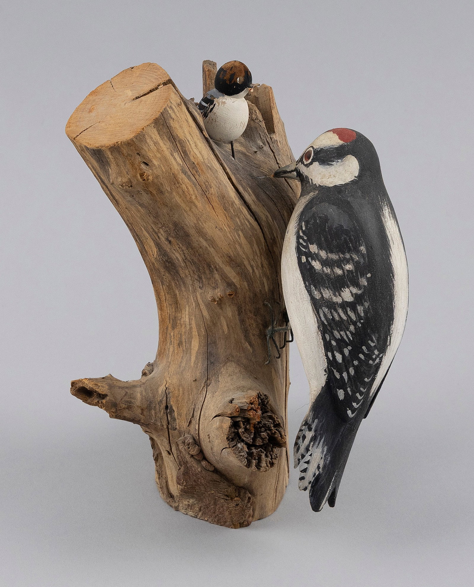 R.G. JANSSON LIFE-SIZE DOWNY WOODPECKER Cape Cod, Massachusetts, 1889-1970 Height 7.5". (1 of 5)