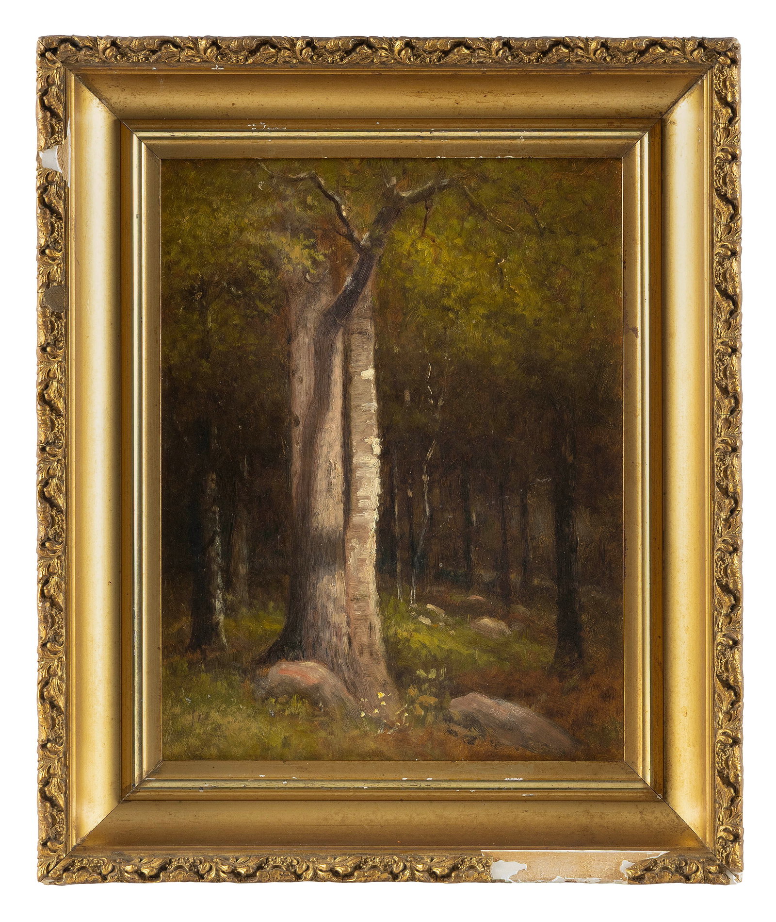 STYLE OF JOHN FABIAN CARLSON (19th Century,), Stand of trees., Oil on board, 12" x 9". Framed 16" x: STYLE OF JOHN FABIAN CARLSON 19th Century Stand of trees. Signed illegibly lower left. Oil on board, 12" x 9". Framed 16" x 13".