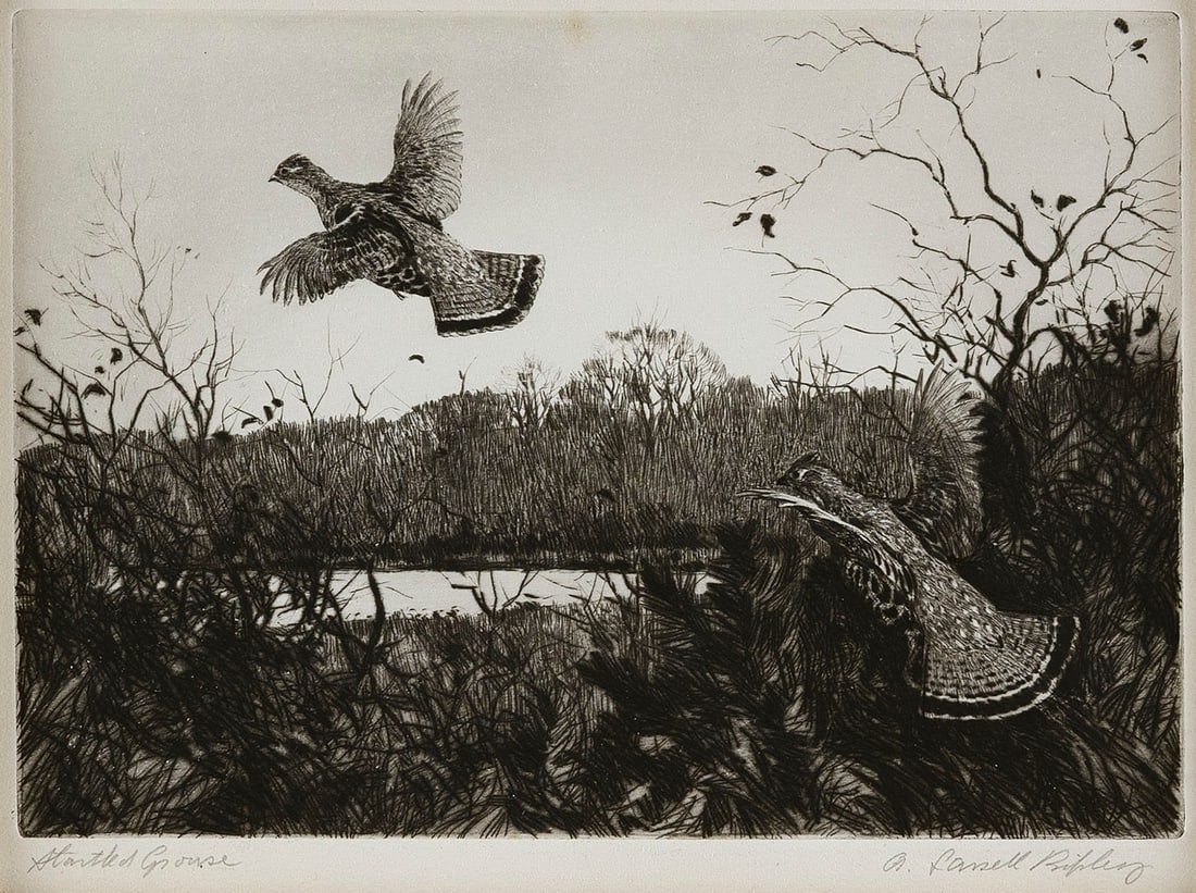 AIDEN LASSELL RIPLEY (Massachusetts/New York, 1896-1969), "Startled Grouse"., Etching, 7" x 9.75". (1 of 5)