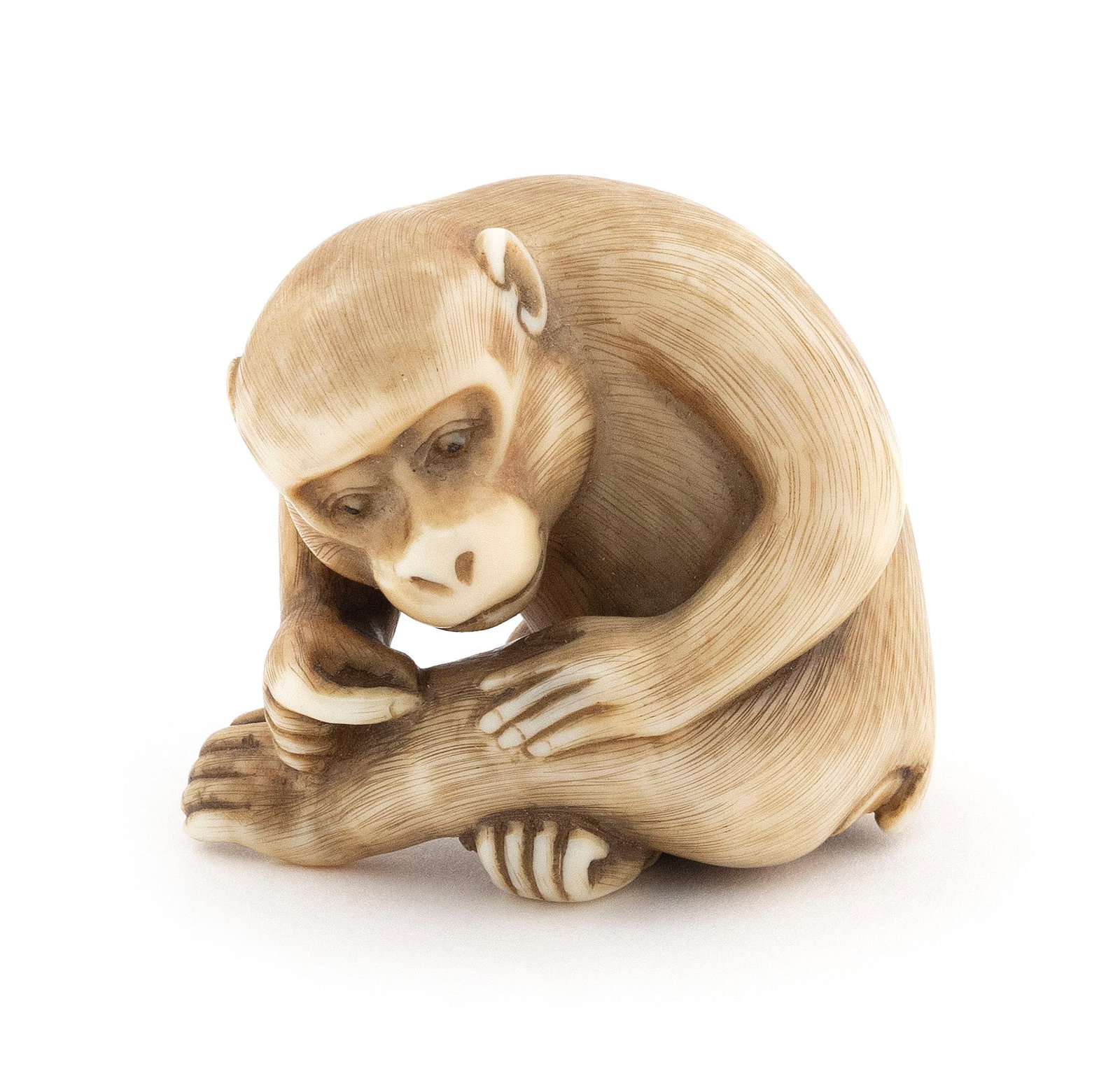 JAPANESE CARVED IVORY NETSUKE BY KOMEI 19th Century Height 1.5". Length 1.5". (1 of 5)