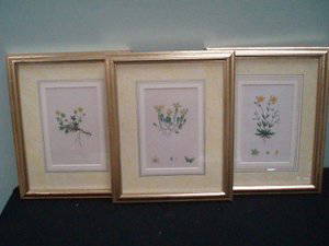 3 J Sowerby Hand Colored Botanical Illustrations: James SOWERBY (1756-1822). Group of three hand colored botanical illustrations. Hand coloured mats and gilt wood frames. Gallery label en verso for Michael Marriott antiques. 6.75" x 4.25" sight, 12.5