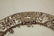 779: Aesthetic Movement Brown Transferware Lot - 8