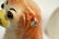 164: Pair Staffordshire Dogs w/Glass Eyes - 3