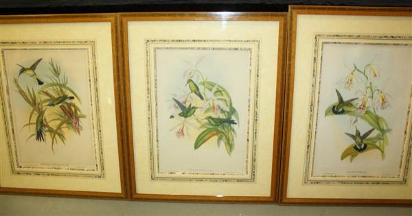 3 Gould Hummingbird Lithographs in Inlaid Frames: John GOULD (1804-1881)