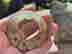 item-136169622=5