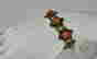 item-136169709=2