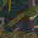 item-136169753=4