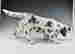 item-136169776=2