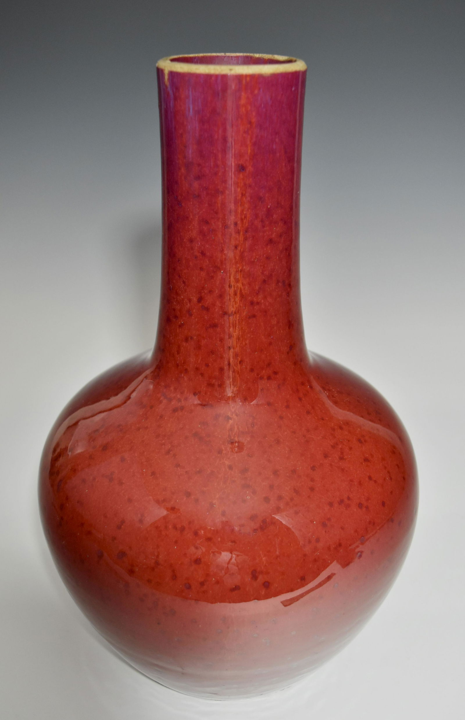 A CHINESE QING DYNASTY MOTTLED COPPER-RED JUN GLAZE PROCELAIN VASE (1 of 18)