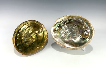 TWO LARGE VINTAGE ABALONE SHELLS