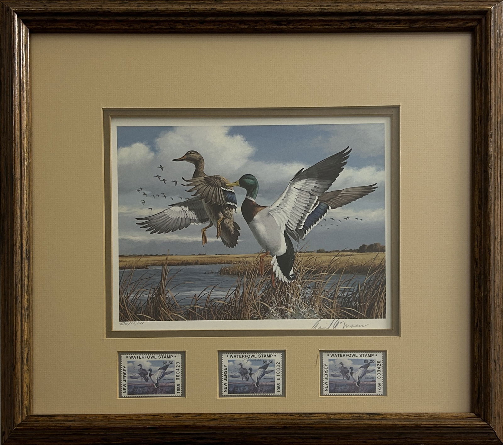 1985 NEW JERSEY MIGRATORY WATERFOWL STAMP & PRINT BY DAVID A. MAASS: Limited edition print depicting two mallards in mid-flight over a marsh landscape. Three 1985 New Jersey Waterfowl stamps are mounted beneath the print, including examples of the $2.50 and $5.00 issue