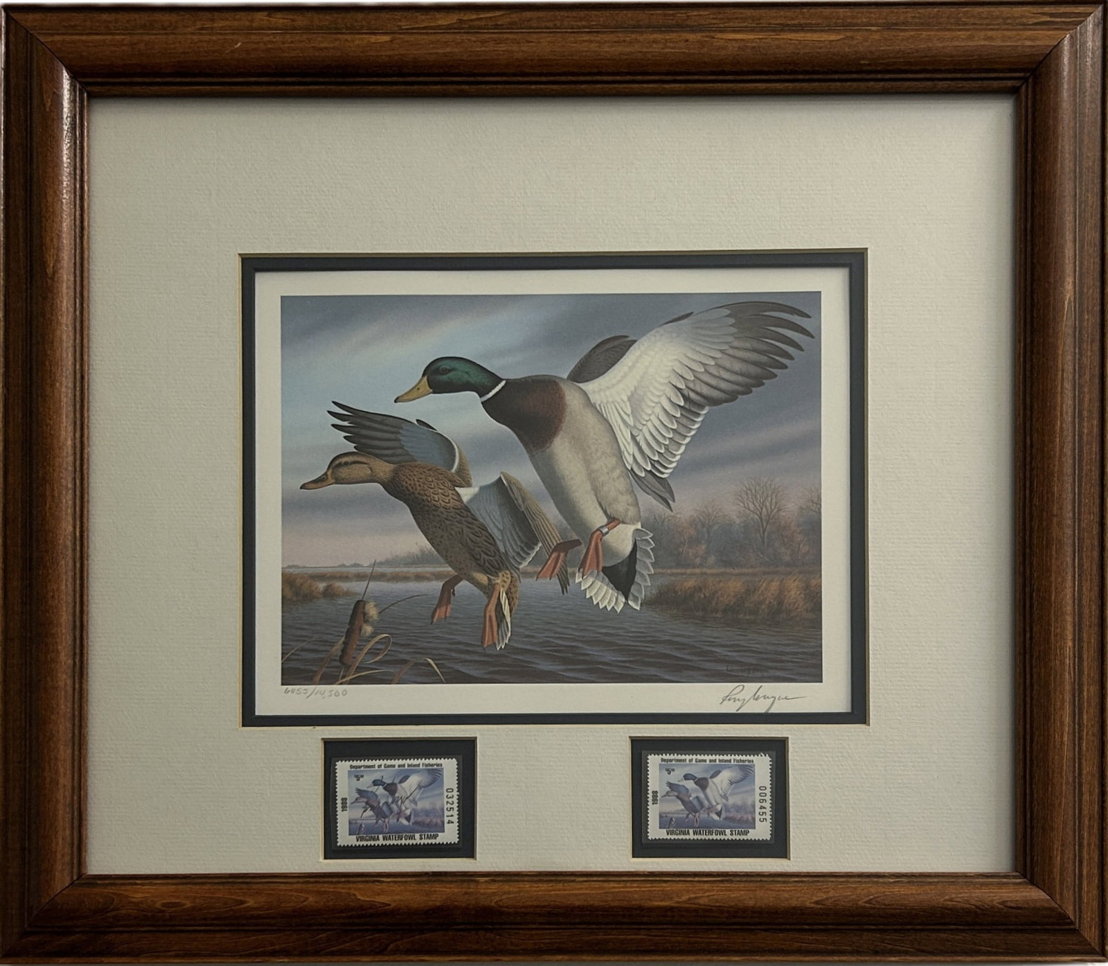 1988 VIRGINIA MIGRATORY WATERFOWL STAMP & PRINT BY RONALD J. LOUQUE: Limited edition featuring two Virginia Migratory Waterfowl stamps present, one additionally bearing the artist’s signature. The print and stamps are professionally framed and matted beneath clear pl