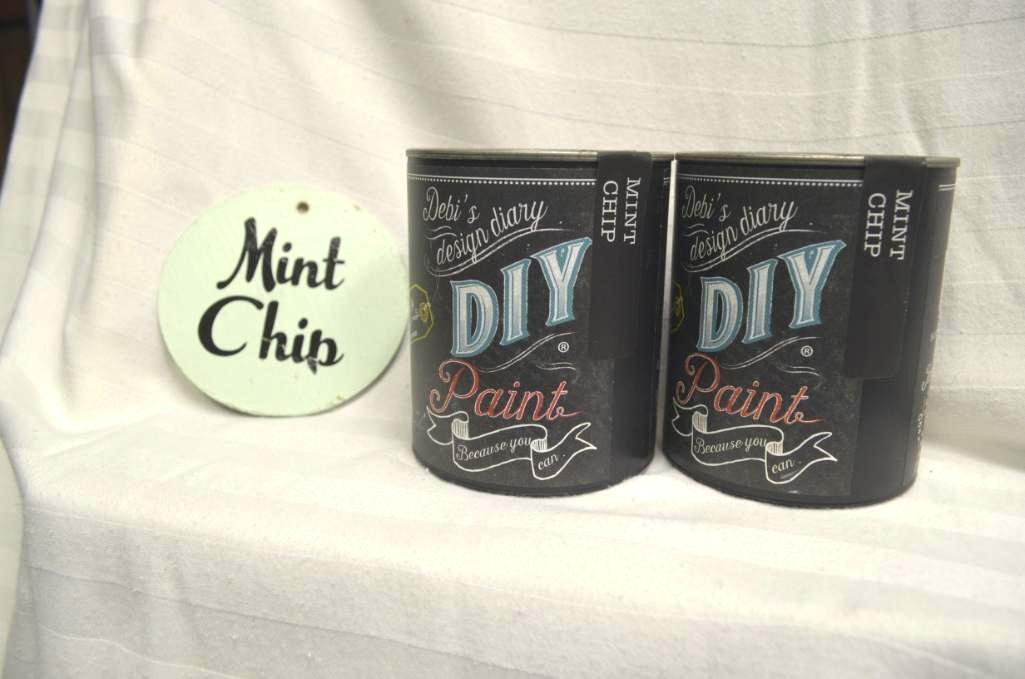 DIY Paint Mint Chip (1 of 3)