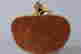 item-105472776=9