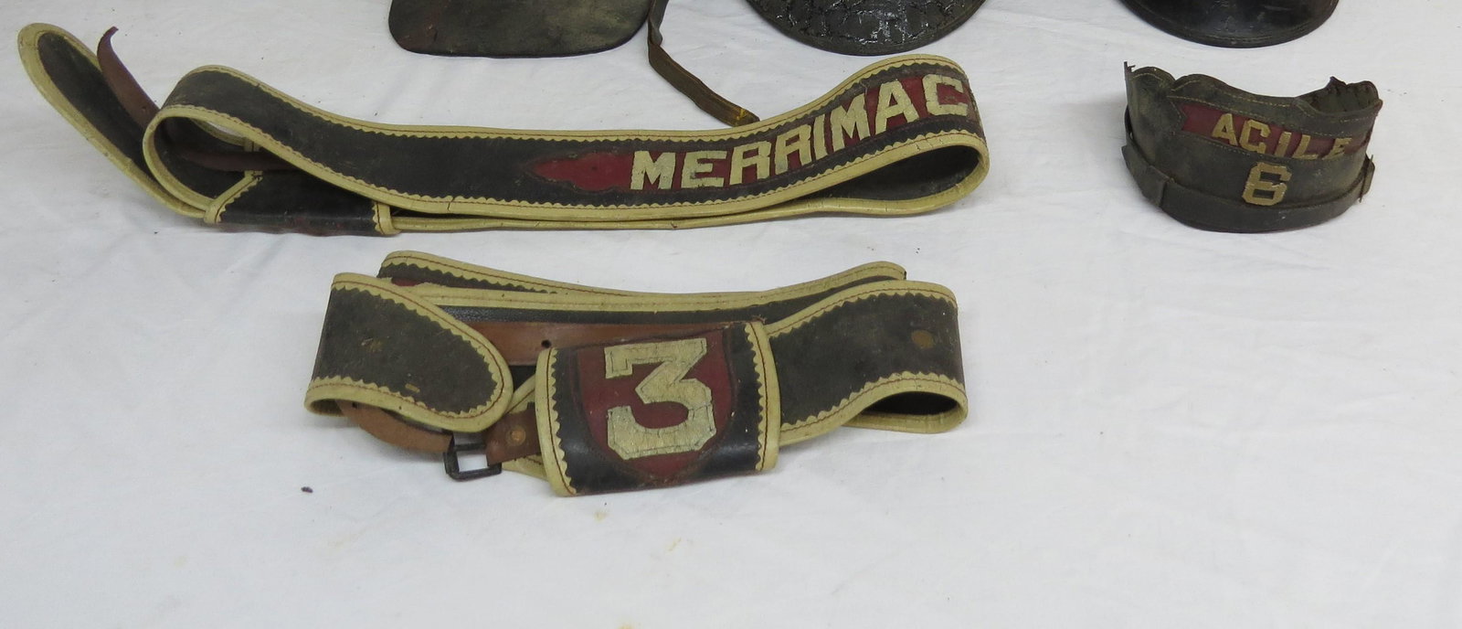 Fire belts (1 of 9)