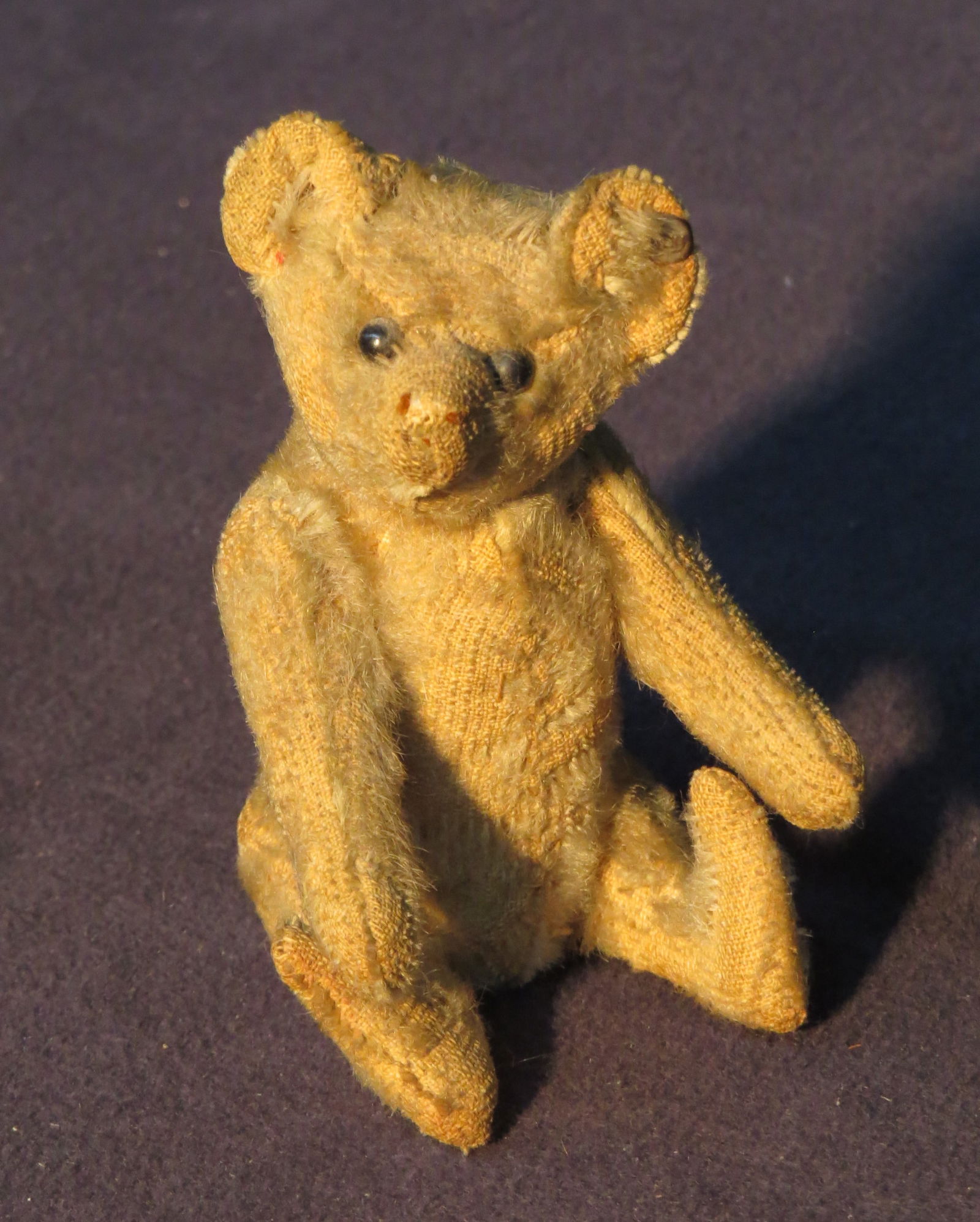 Small Steiff Teddy bear (1 of 8)