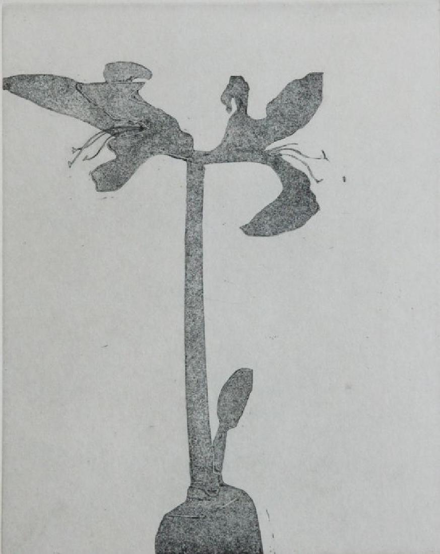 Mary Frank (20th Century): Amaryllis, 1978, Aquatint, 11 1/2" x 9", Signed Lower Right, Edition: 147/200, Framed. Klein Collection.
