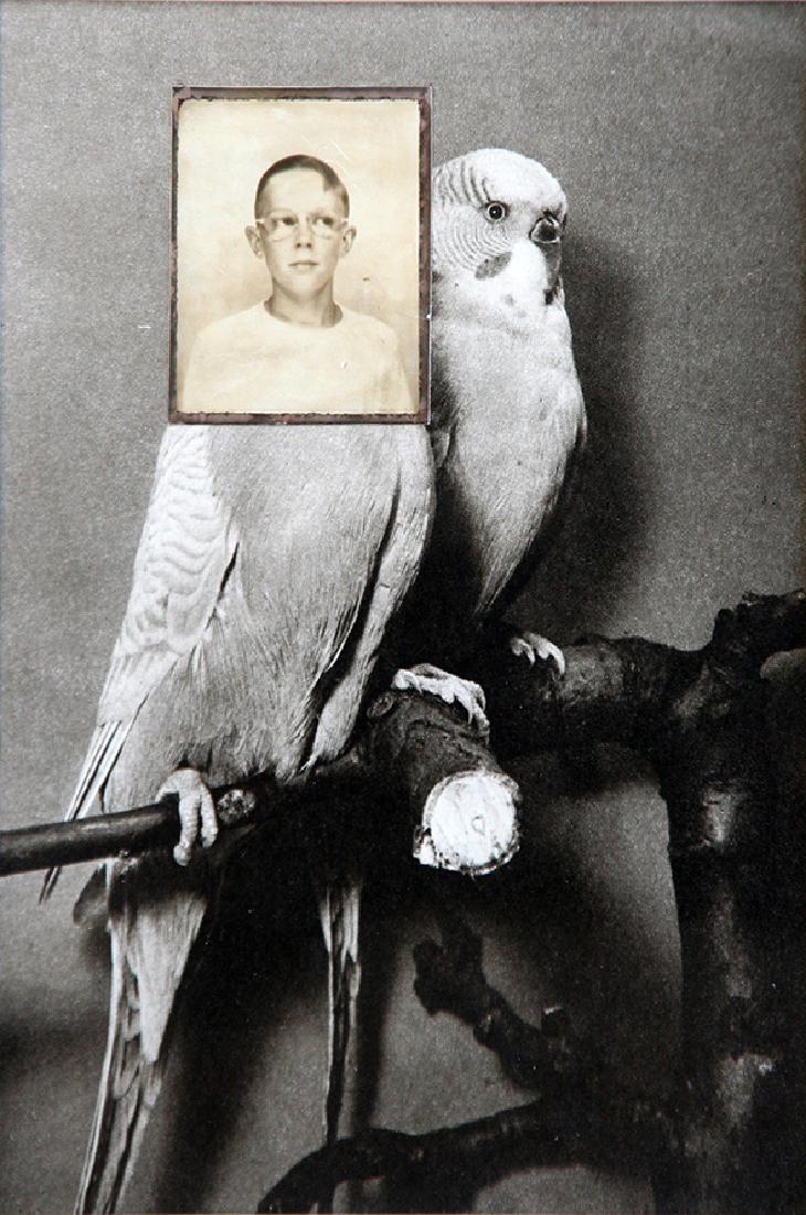 John O'Reilly (b. 1930): Parakeets, 1977, Photo and Paper on Montage, 8 7/8" x 6", Unsigned, Framed. Dickinson Roundell Inc, label on verso.