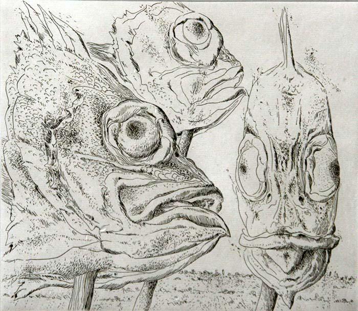 Gunter Grass (1927 -2015): "Three Fish", 1973, Etching, 7.5" x 6.25"', Signed Lower Right, Edition 2/100, Unframed. Author of "Tin Drum", etc.