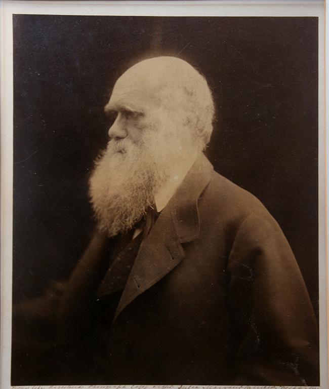 Julia Margaret Cameron (1815-1879): Portrait of Charles Darwin, 1868, Albumen Print, 11.25" x 9.5", Signed Lower Right, Framed. Blind stamped photographer's studio London. Inscription by Charles Darwin printed in lower margin.Detailed C