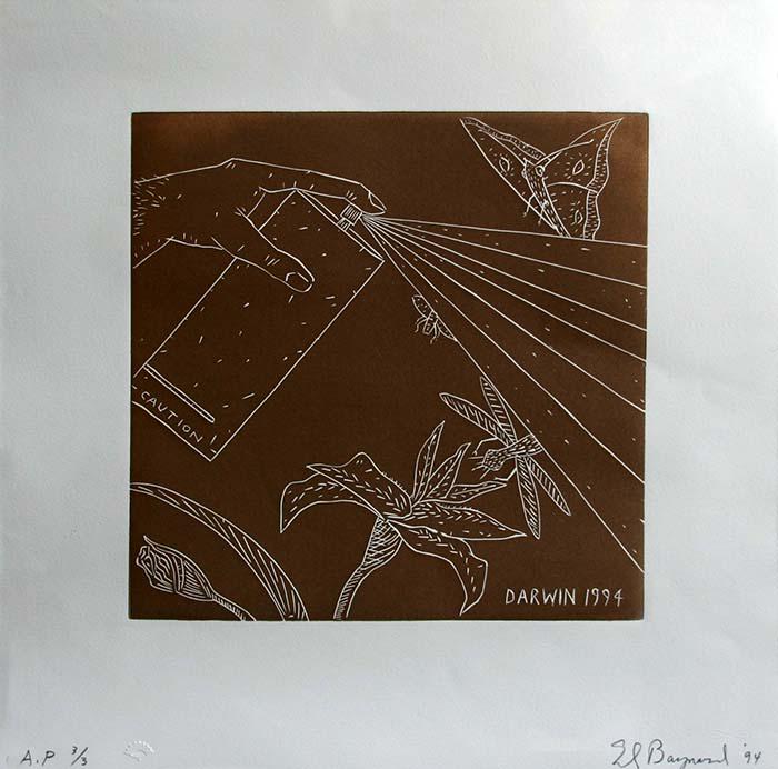 Ed Baynard (1940-2016): Darwin, 1994, Linocut, 11.5" x 11.5", Signed Lower Right, AP 3/3.