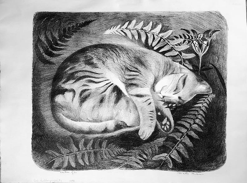 Rosella Hartman (1895-1993): "Sleeping Cat", c. 1940, Lithograph, 14" x 17", Edition: 30.
