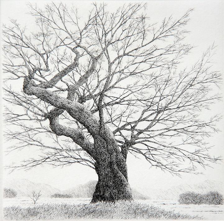 Ryohei Tanaka (b. 1933): Untitled - Tree, c. 1997, Etching, 4" x 4", Signed Lower Right, Edition 18/150.