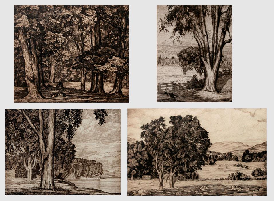 Luigi Lucioni (1900 - 1988): LOT OF FOUR: "Tree Tapestry"; 1945; 8.75" x 10.75" / "Big Elm"; 1934; 9.75" x 7.75" / "Vermont Pastoral"; 1939; 7.25" x 12.5" / "Elms by the Lake"; 1937; 7.75" x 10.75". Etching, signed lower right, f