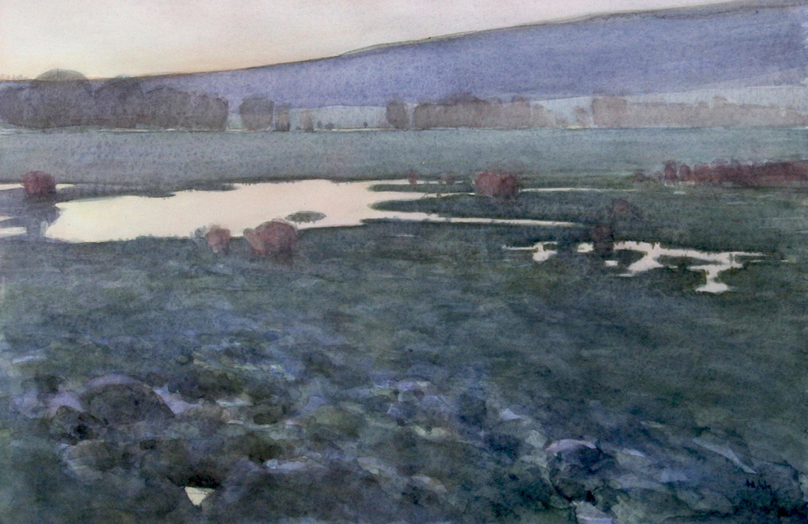 Thomas Aquinus Daly (b. 1937): "Red Osier Dogwood"; c. 1990; Watercolor on Paper; 9" x 14.5"; Signed Lower Right; Framed (under glass).