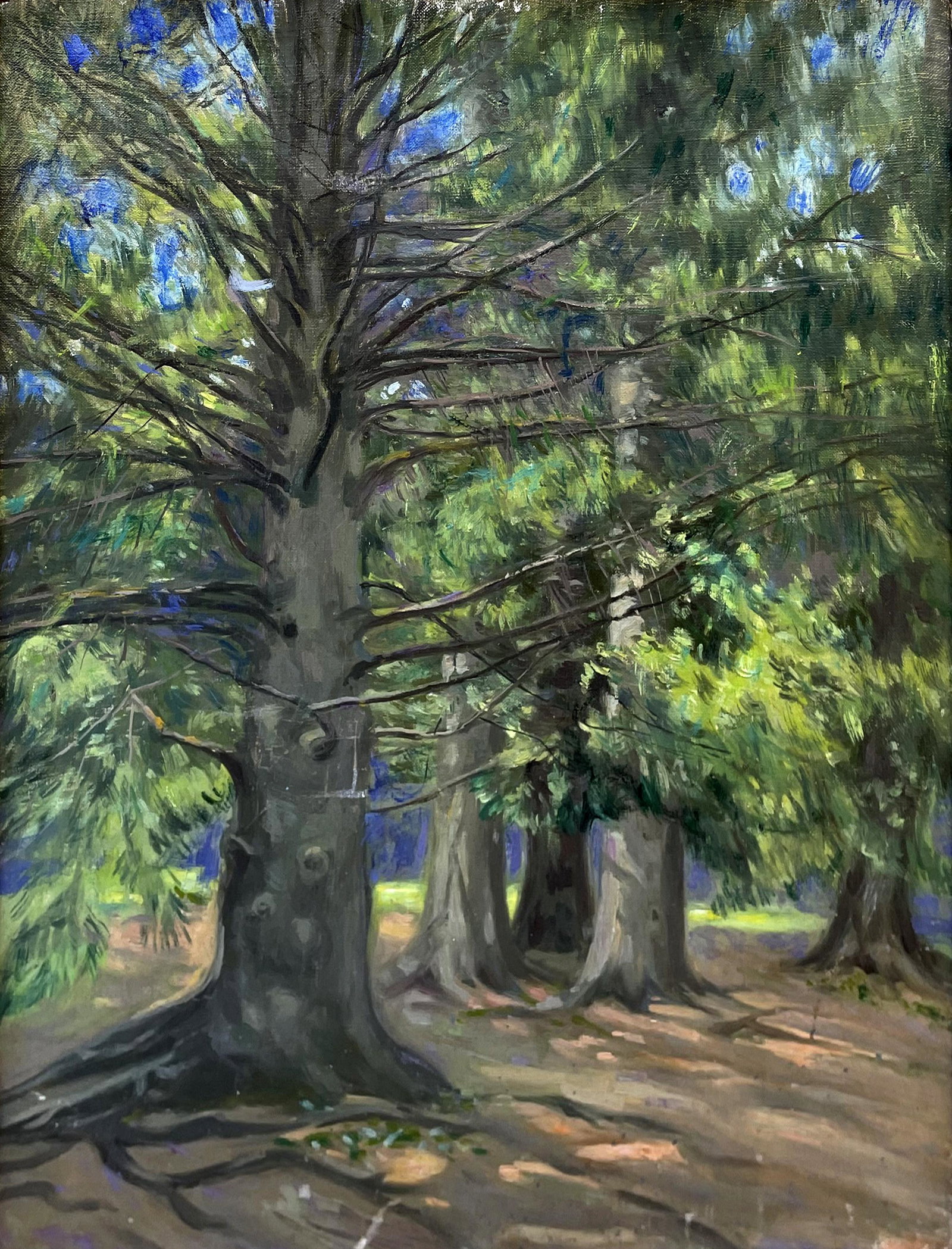 Louise M. Kamp (1867 - 1959): "The Pines"; c. 1930; Oil on Board; 17.5" x 13.5"; Unsigned; Framed.