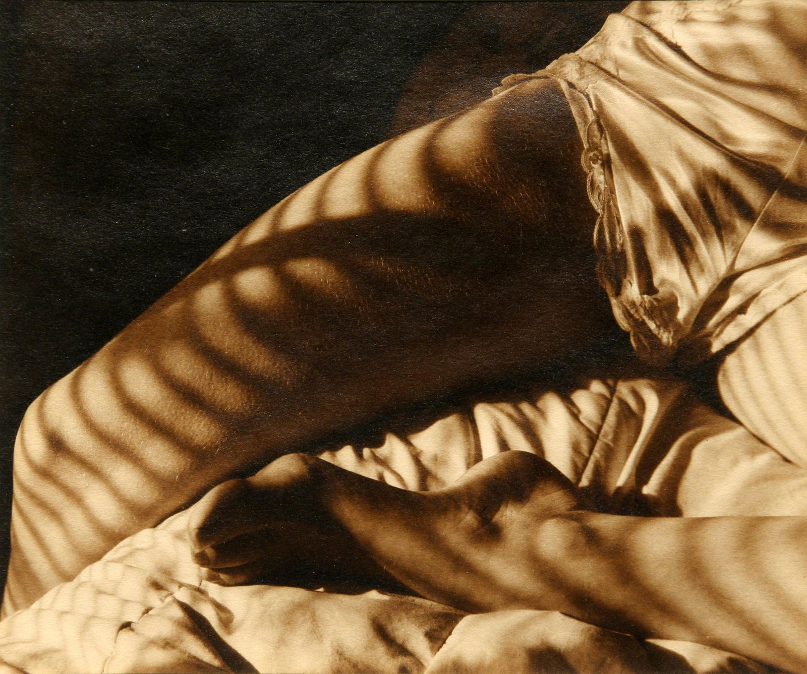 Robert J. Steinberg (b. 1948): "White Lace III"; 1981; Albumen Print; 7.5" x 9.25"; Signed Lower Right (under matte); Framed (under glass); Provenance: From the Estate of Marcuse â€œCusie” Pfeifer (1936 - 2020).