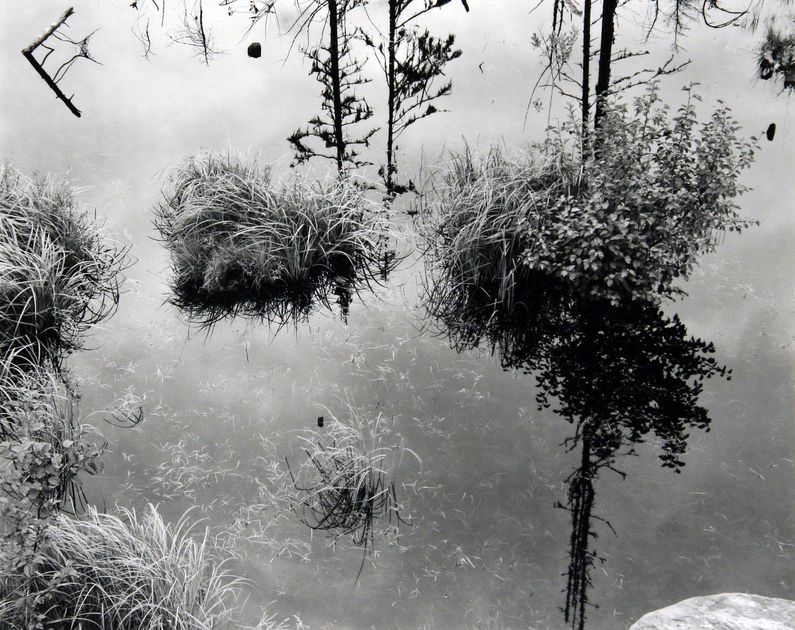 Michael A. Smith (b. 1942): "Near Blue River - British Columbia"; 1975; Gelatin Silver Print Dry-Mounted on Board; 7.75" x 9.5"; Signed Lower Right; Unframed; Provenance: From the Estate of Marcuse â€œCusie” Pfeifer (1
