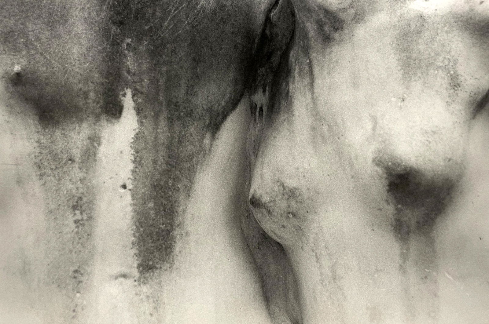 Lilo Raymond (1922 - 2009) (1 of 4)