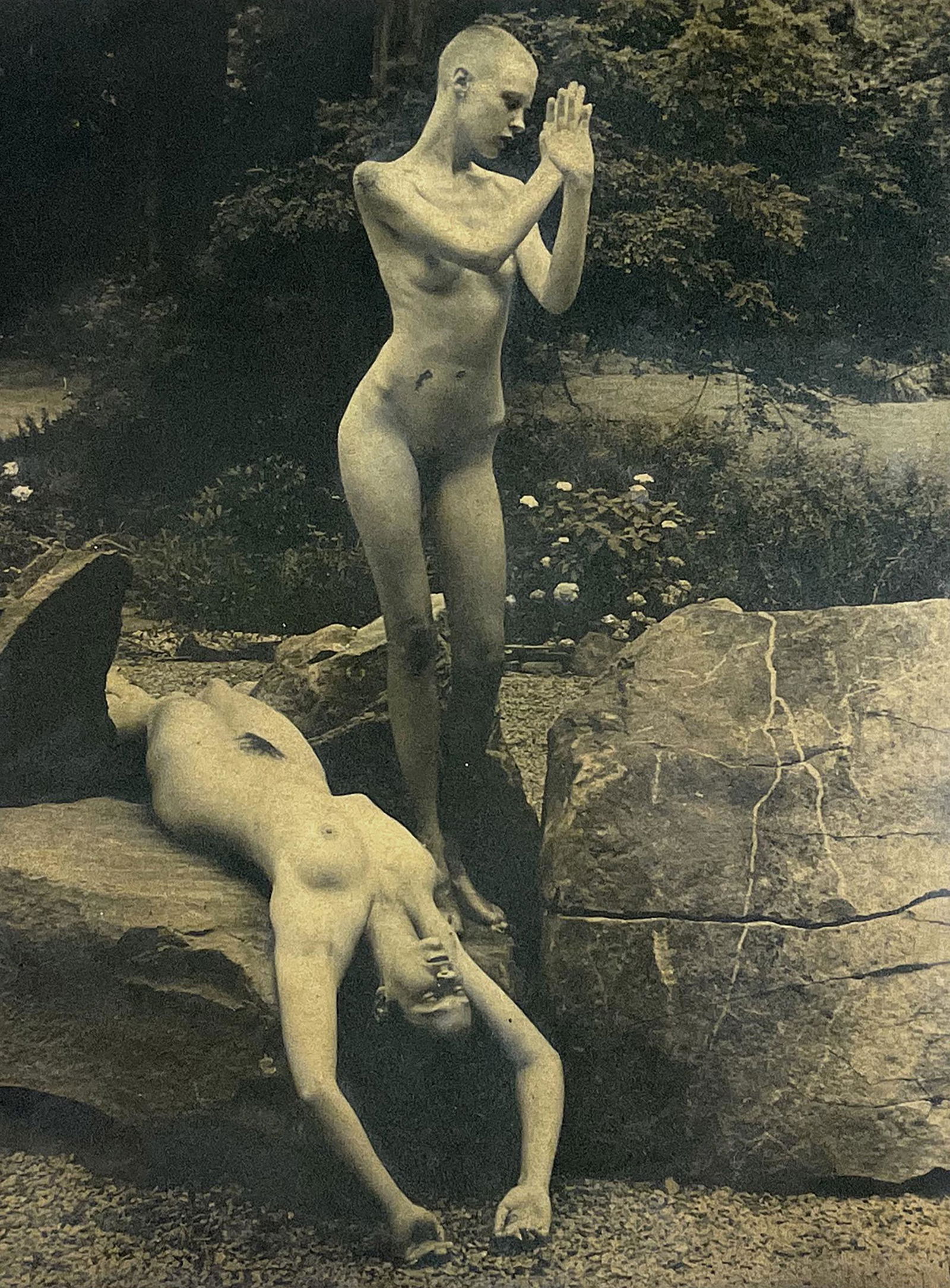 Harriet Tannin (1929 - 2009) (1 of 4)