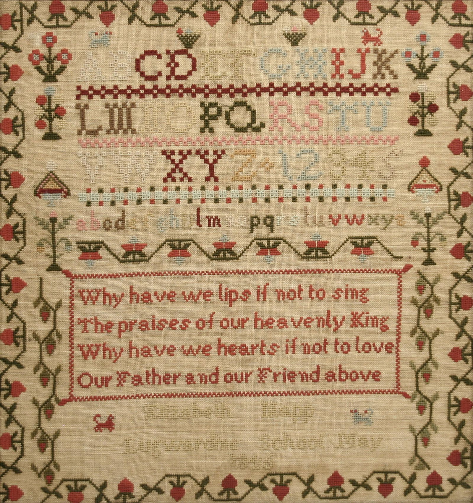 Elizabeth Mapp (1 of 6)