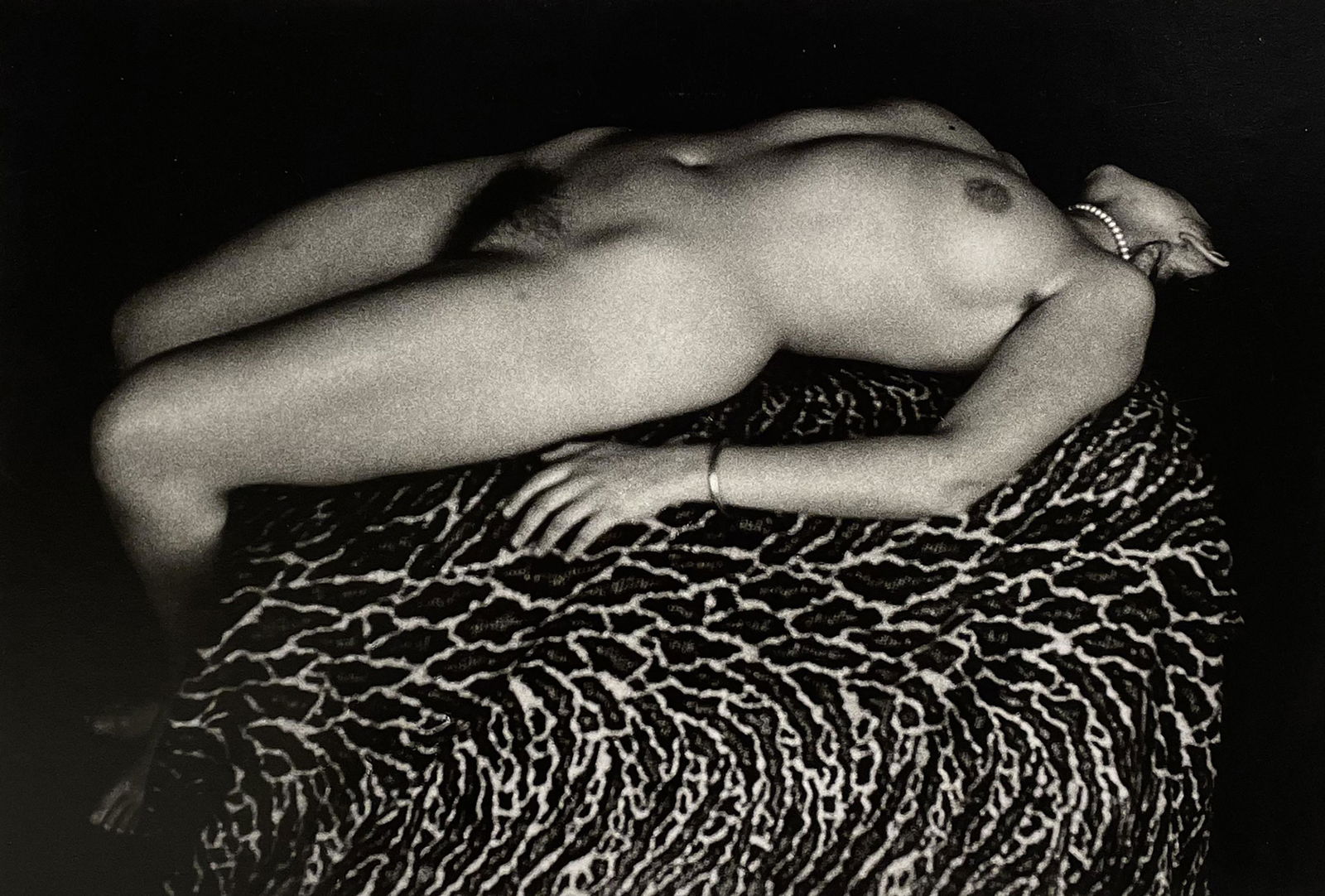 Peter Peryer (1941 - 2018) (1 of 3)