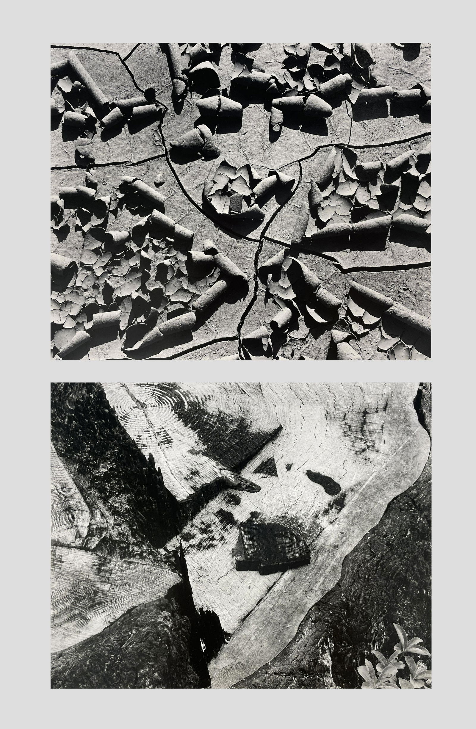 Michael A. Smith (b. 1951) (1 of 11)