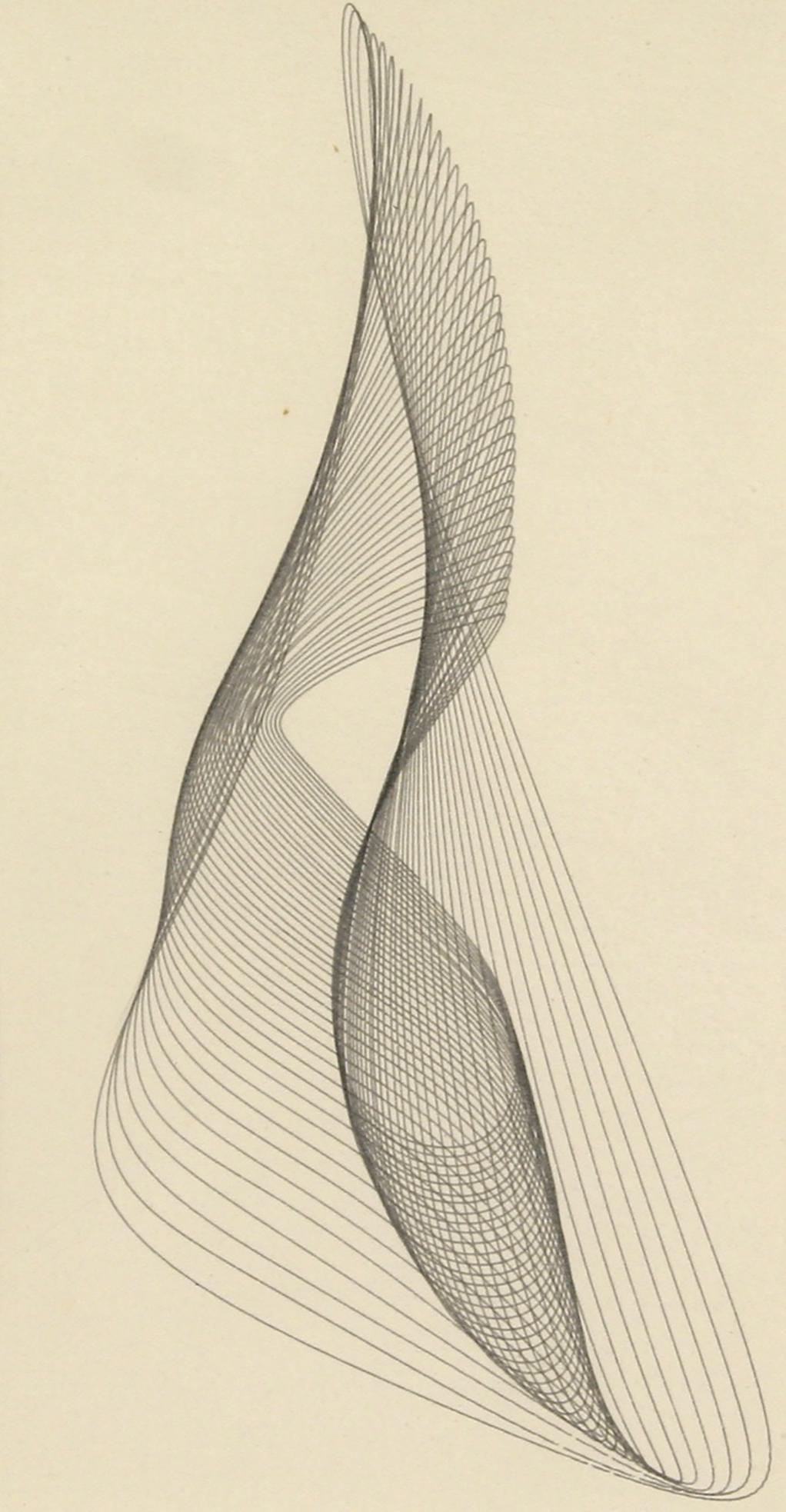 Konrad Cramer (1888 - 1963): "Untitled"; c. 1950; Sympalmagraph; 9" x 4.5"; Estate Stamp on Verso; Framed (under glass).