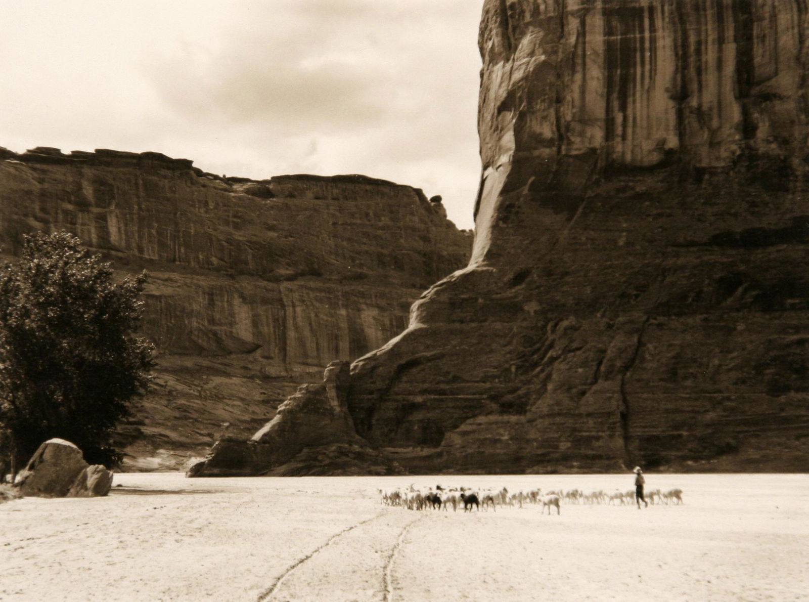 Harvey Caplin (1914 - 1984) (1 of 5)