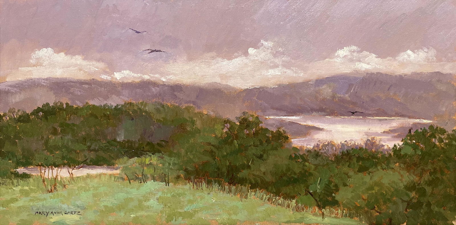 Mary Anna Goetz (b. 1946) (1 of 4)