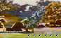 item-166197402=4